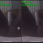 Ghana- Sandra Exposed Masturbating on Whatsapp Video Call Part ...